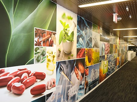 A hallway adorned with numerous wallpaper style printed wall graphics.